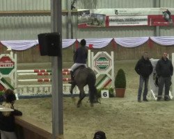 jumper Crispi 5 (Westphalian, 2007, from Christiano)