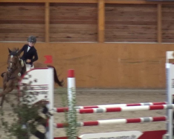 Reitturnier Xanten - Reitanlage Miss 2020