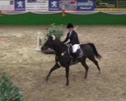 jumper Lusijenna Jo (Rhinelander, 2010, from Lord Lucifer)