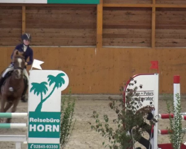 Reitturnier Xanten - Reitanlage Miss 2020