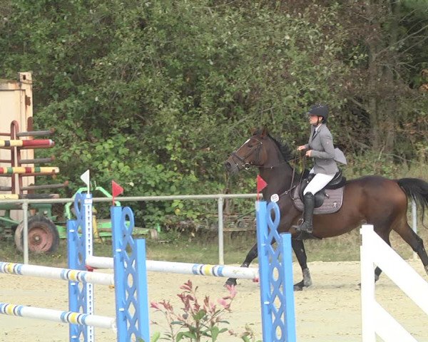 Reitturnier Herxheim 2020