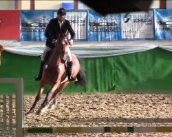 Zuchtstute Neminka (KWPN (Niederländisches Warmblut), 2009, von Nabab de Rêve)