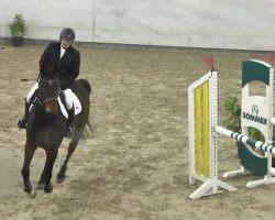 jumper Cooki 2 (Holsteiner, 2008, from Con Air)