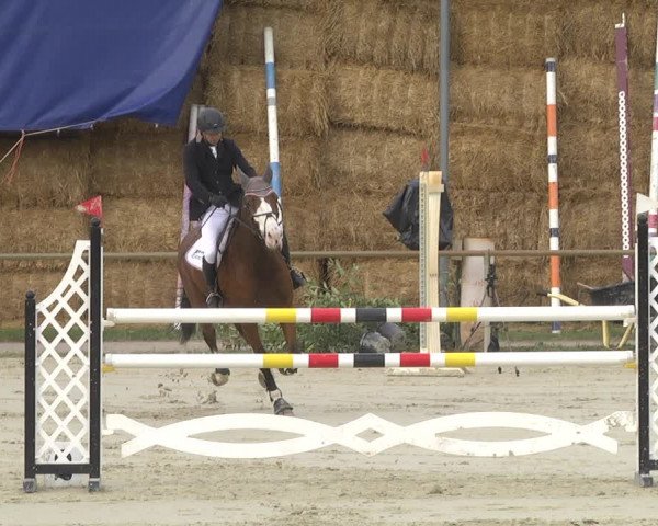 Reitturnier Herxheim 2020
