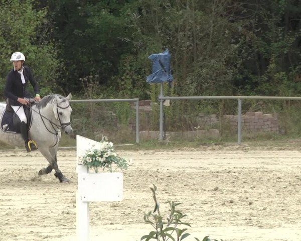 Reitturnier Herxheim 2020
