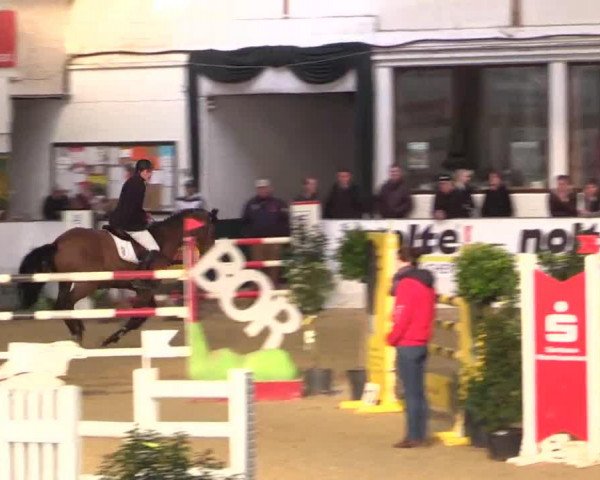 stallion Lorenzetti (Oldenburg, 2005, from Ludwig von Bayern 168 FIN)