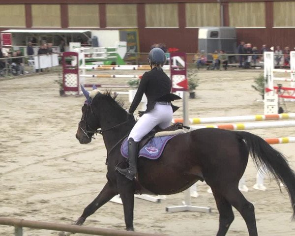 Reitturnier Herxheim 2020