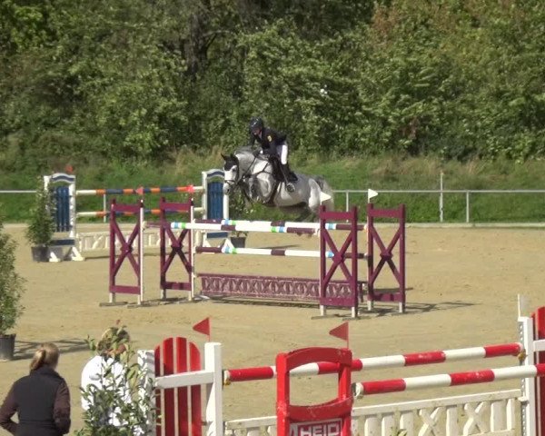 Reitturnier Ladenburg 2020