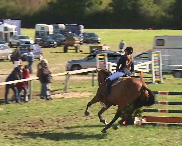 Reitturnier Bad Windsheim/Mfr. 2020