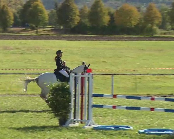 Reitturnier Bad Windsheim/Mfr. 2020