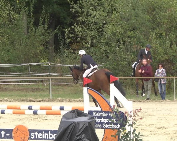 Reitturnier Herxheim 2020