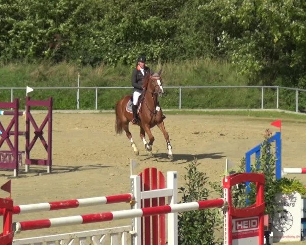 Reitturnier Ladenburg 2020