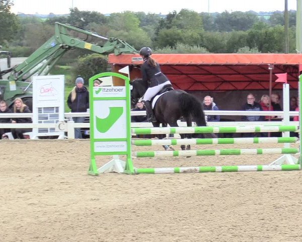 Reitturnier Behrendorf 2020