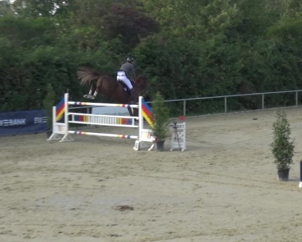 Reitturnier Ladenburg 2020
