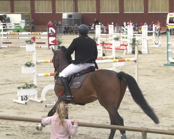 Reitturnier Herxheim 2020