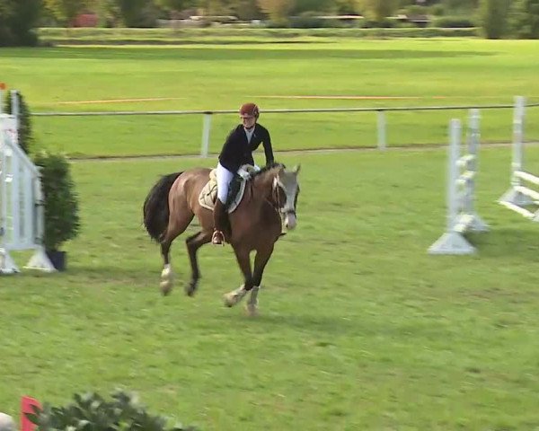 Reitturnier Bad Windsheim/Mfr. 2020
