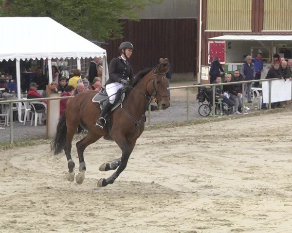 Reitturnier Herxheim 2020
