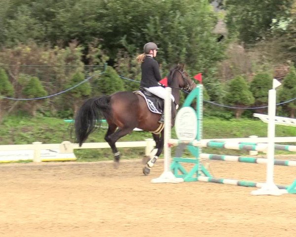 Reitturnier Behrendorf 2020