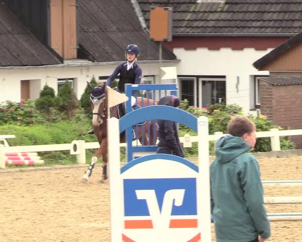 Reitturnier Behrendorf 2020