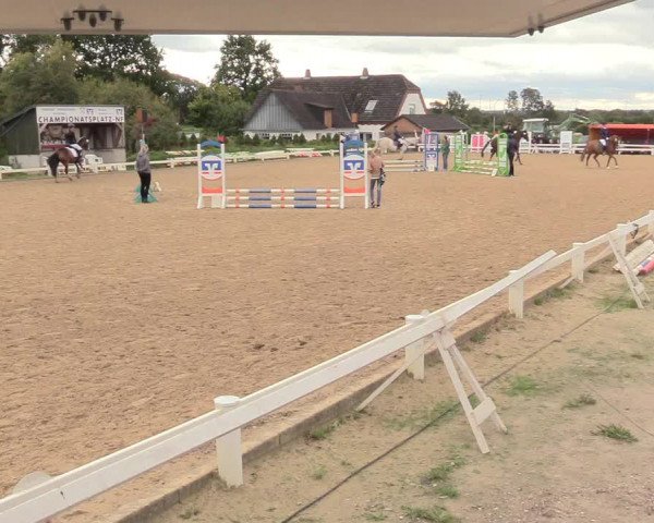 Reitturnier Behrendorf 2020
