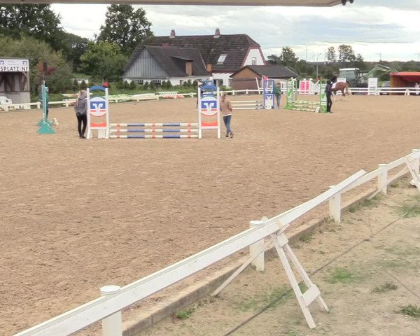 Reitturnier Behrendorf 2020