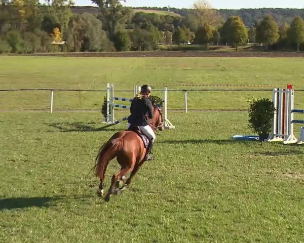 Reitturnier Bad Windsheim/Mfr. 2020