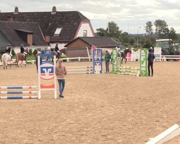 Reitturnier Behrendorf 2020