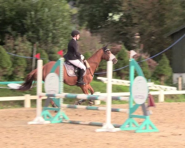 Reitturnier Behrendorf 2020