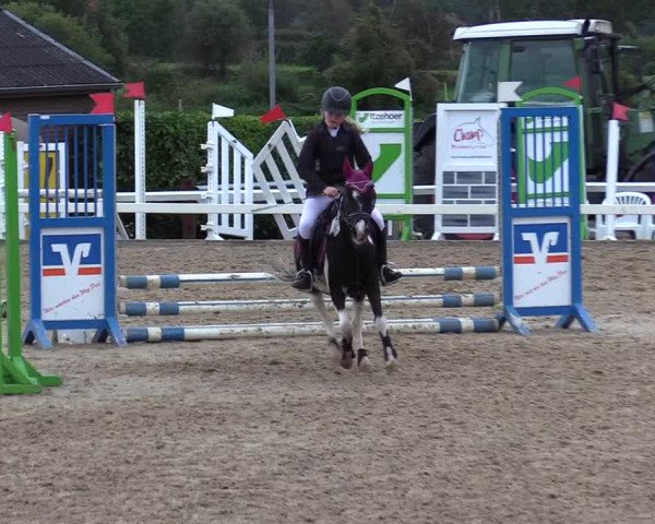 Reitturnier Behrendorf 2020