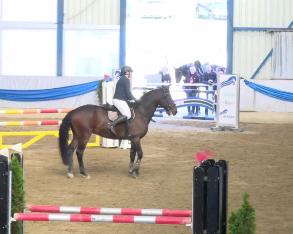 Reitturnier Buchs 2021
