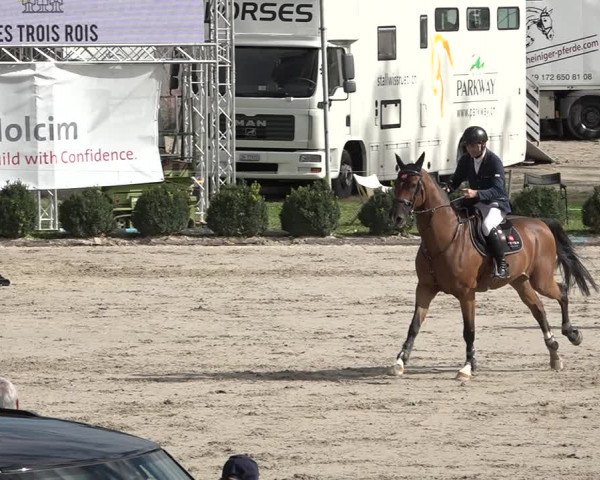 Reitturnier Basel Schänzli 2020