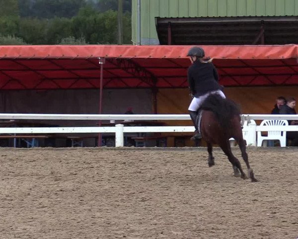Reitturnier Behrendorf 2020
