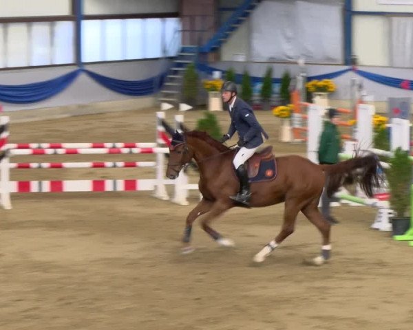 Reitturnier Buchs 2021