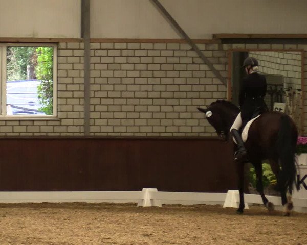 Reitturnier Kirchhellen-RSV Zur Linde 2020
