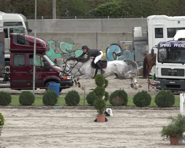 Reitturnier Basel Schänzli 2020