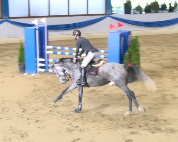 Reitturnier Buchs 2021