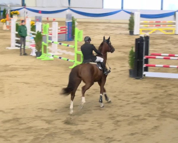 Reitturnier Buchs 2021