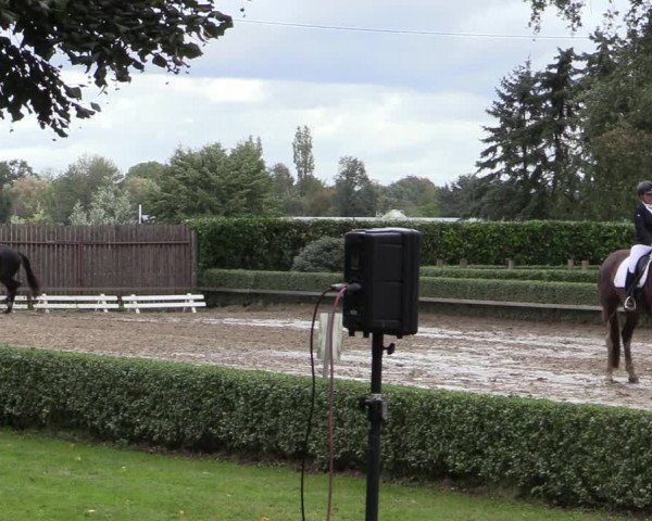 Reitturnier Kirchhellen-RSV Zur Linde 2020