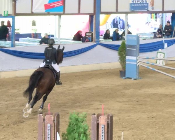 Reitturnier Buchs 2021