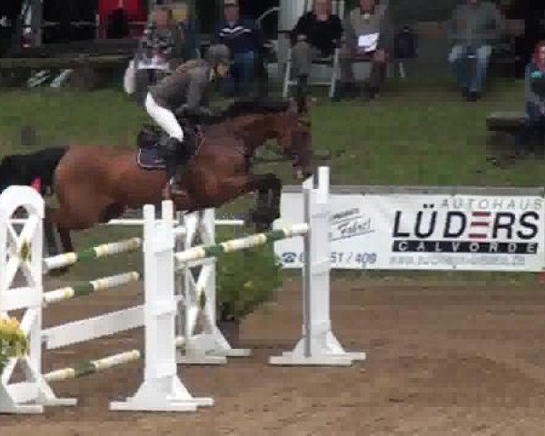 jumper Anabell 106 (German Warmblood, 2008, from Acadius)