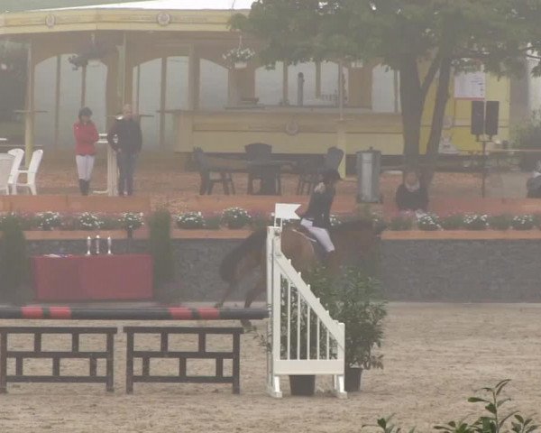 jumper Carlson 98 (Holsteiner, 2009, from Contender)