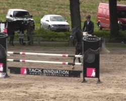 jumper Charly (Hanoverian, 2008, from Clinton H)
