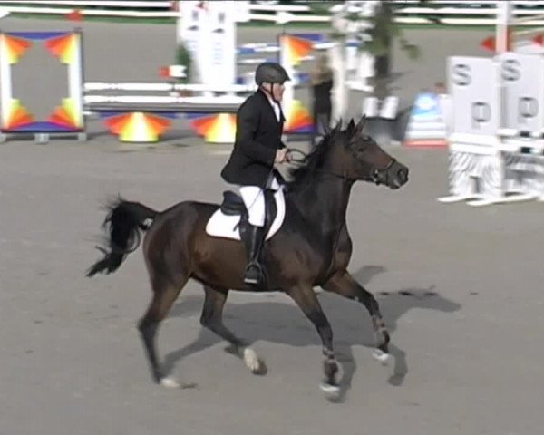 Reitturnier Aesch (Neftenbach) 2020