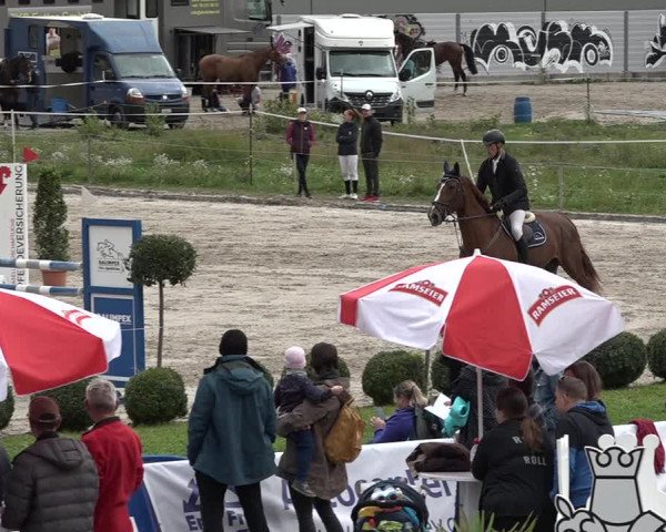Reitturnier Basel Schänzli 2020