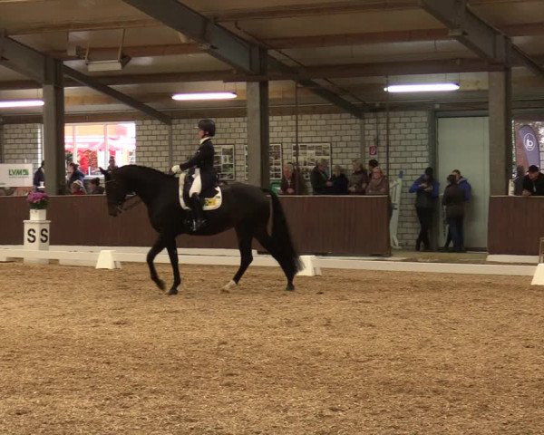 Reitturnier Kirchhellen-RSV Zur Linde 2020