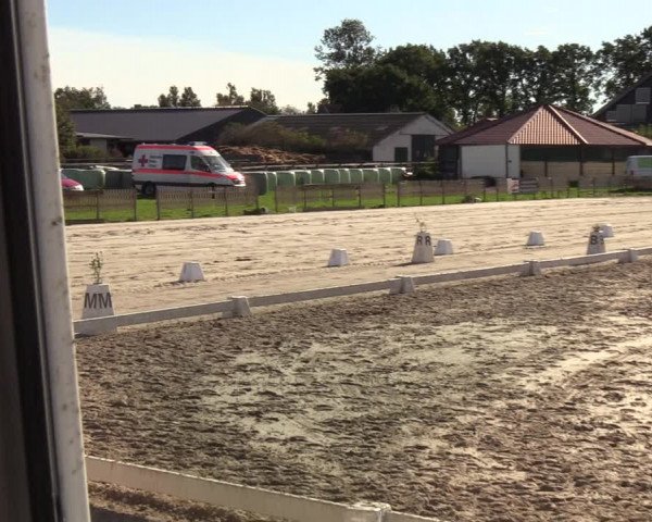Reitturnier Schülp / Rendsburg 2020