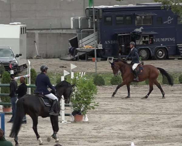 Reitturnier Basel Schänzli 2020