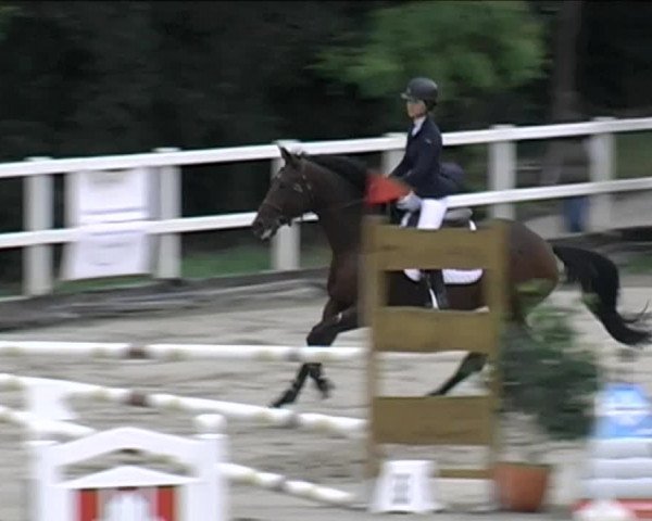 Reitturnier Aesch (Neftenbach) 2020