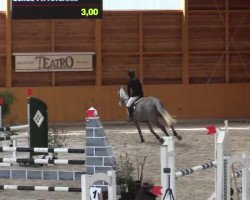 jumper Ceres K (Westphalian, 2009, from Calido I)