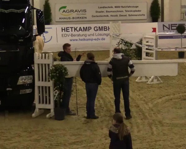 dressage horse Carlo Ms (German Riding Pony, 2011, from Top Carlos Cassini)